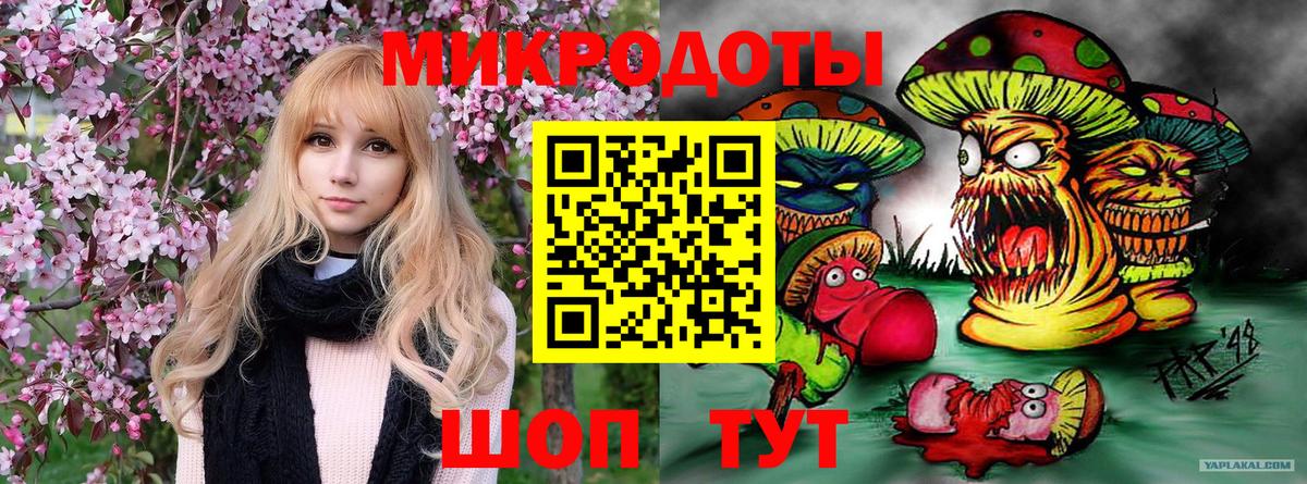 Псилоцибиновые грибы прущие грибы Медногорск