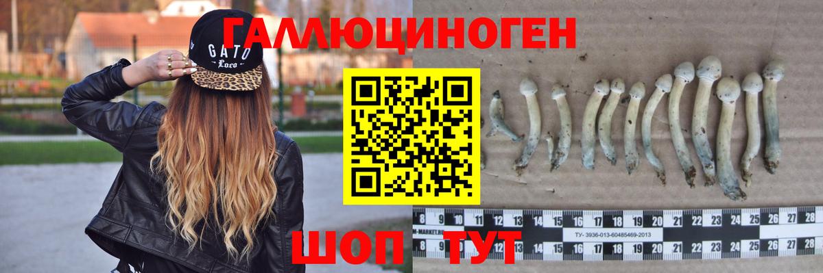 Псилоцибиновые грибы прущие грибы  Вход с VPN  Медногорск 